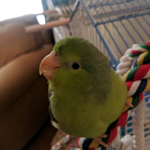 Meet your Posher, Michelle - Picture 1 of 1